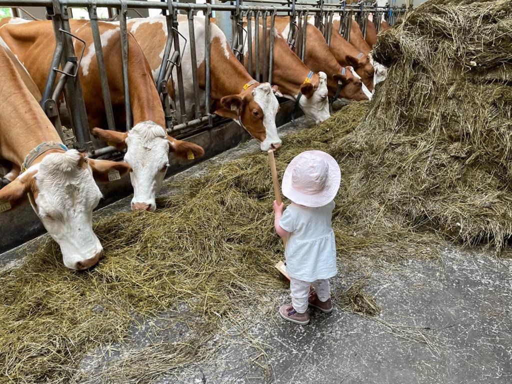 Ferienparadies Taxen Sankt Veit im Pongau Ngoại thất bức ảnh
