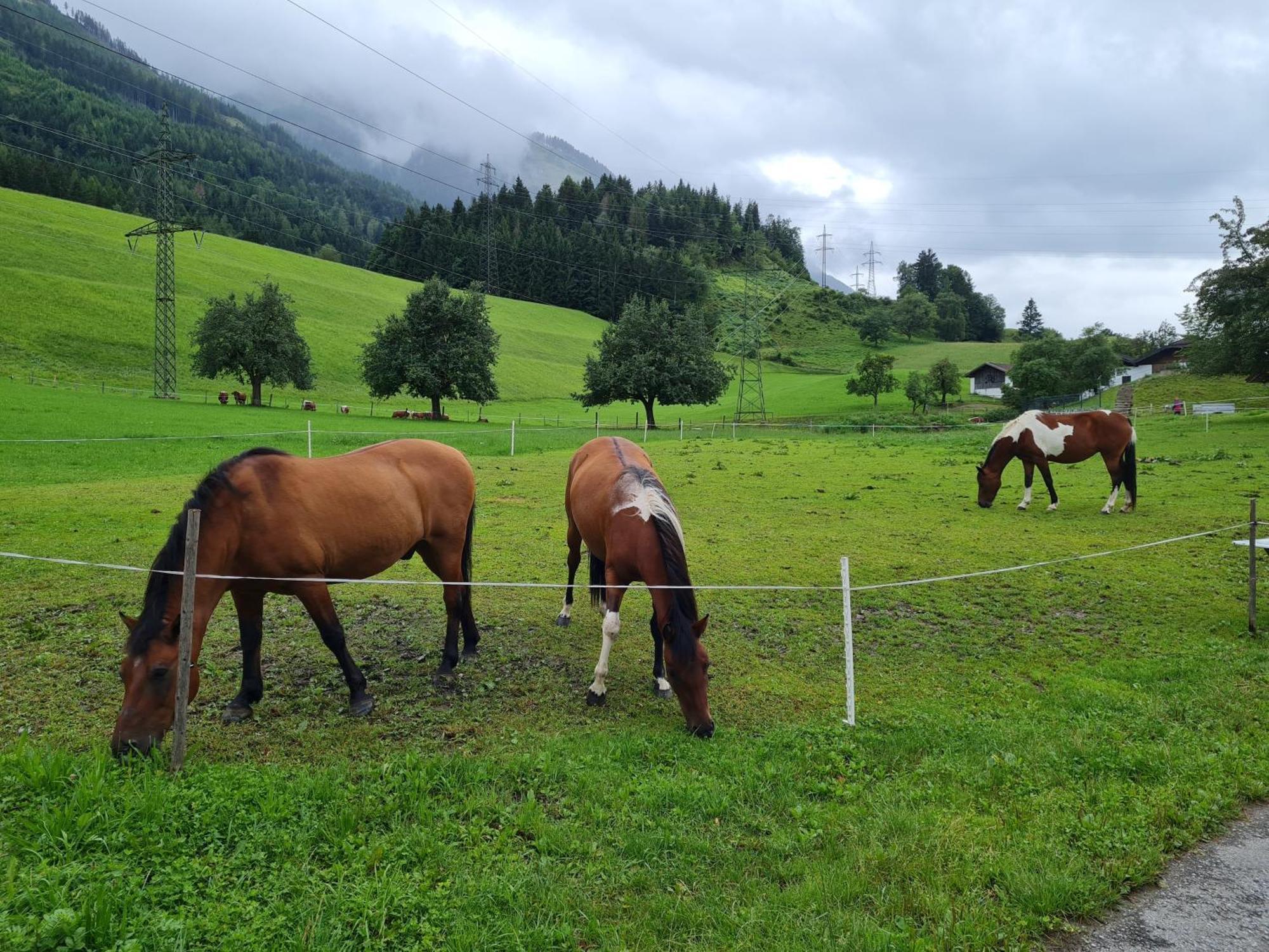 Ferienparadies Taxen Sankt Veit im Pongau Ngoại thất bức ảnh