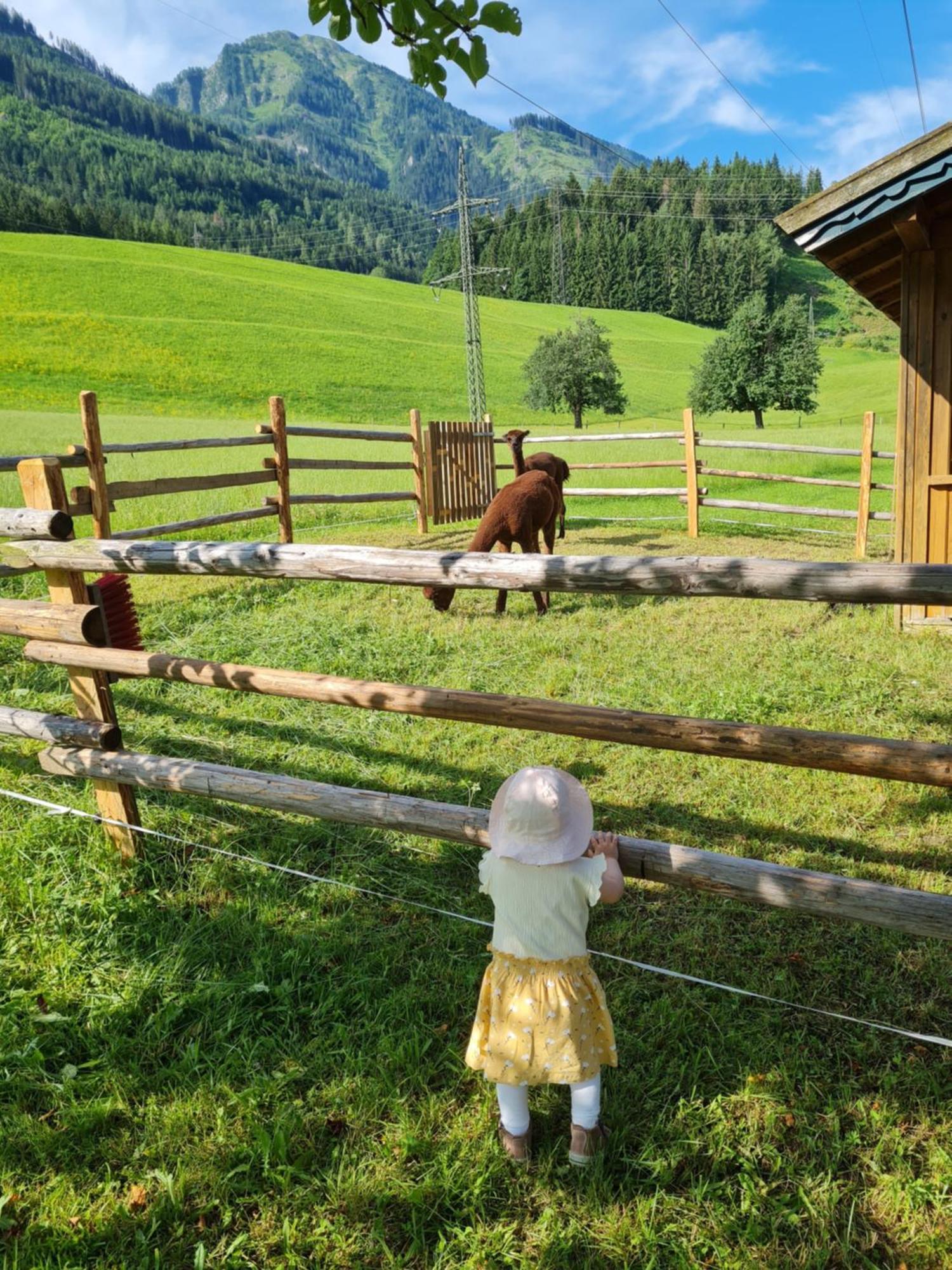 Ferienparadies Taxen Sankt Veit im Pongau Ngoại thất bức ảnh