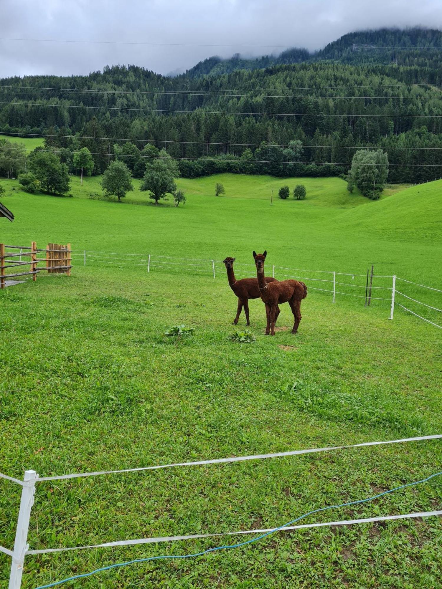 Ferienparadies Taxen Sankt Veit im Pongau Ngoại thất bức ảnh