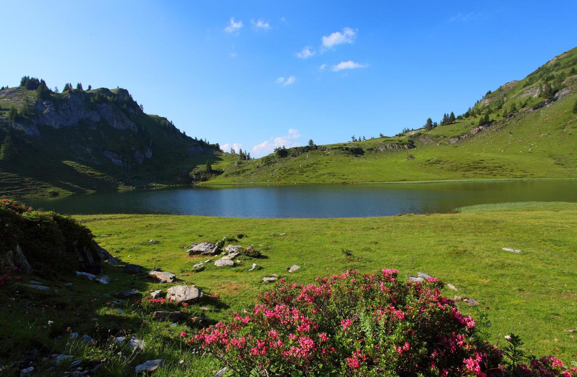 Ferienparadies Taxen Sankt Veit im Pongau Ngoại thất bức ảnh